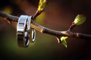 Wedding rings hanging from a branch