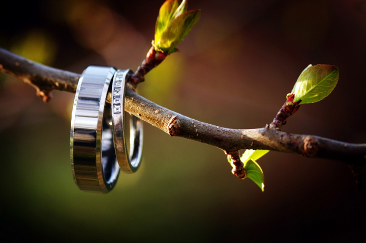 istock_000012689617small